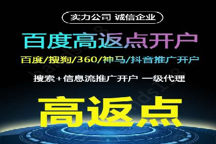 行业标杆：SEM托管公司案例解析